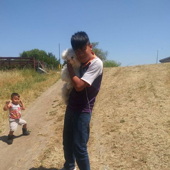 Meet your Posher, Ricardo - Picture 1 of 1